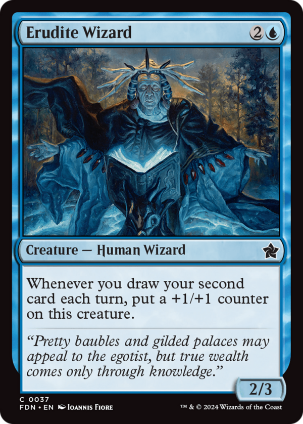 Erudite Wizard — Foundations