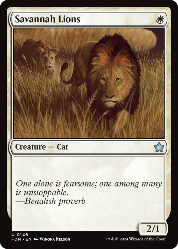 Savannah Lions — Foundations