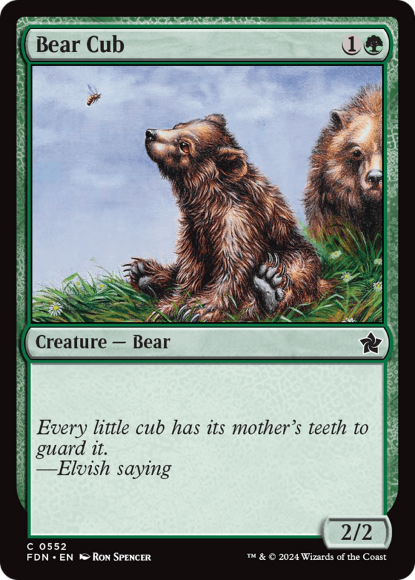 Bear Cub — Foundations